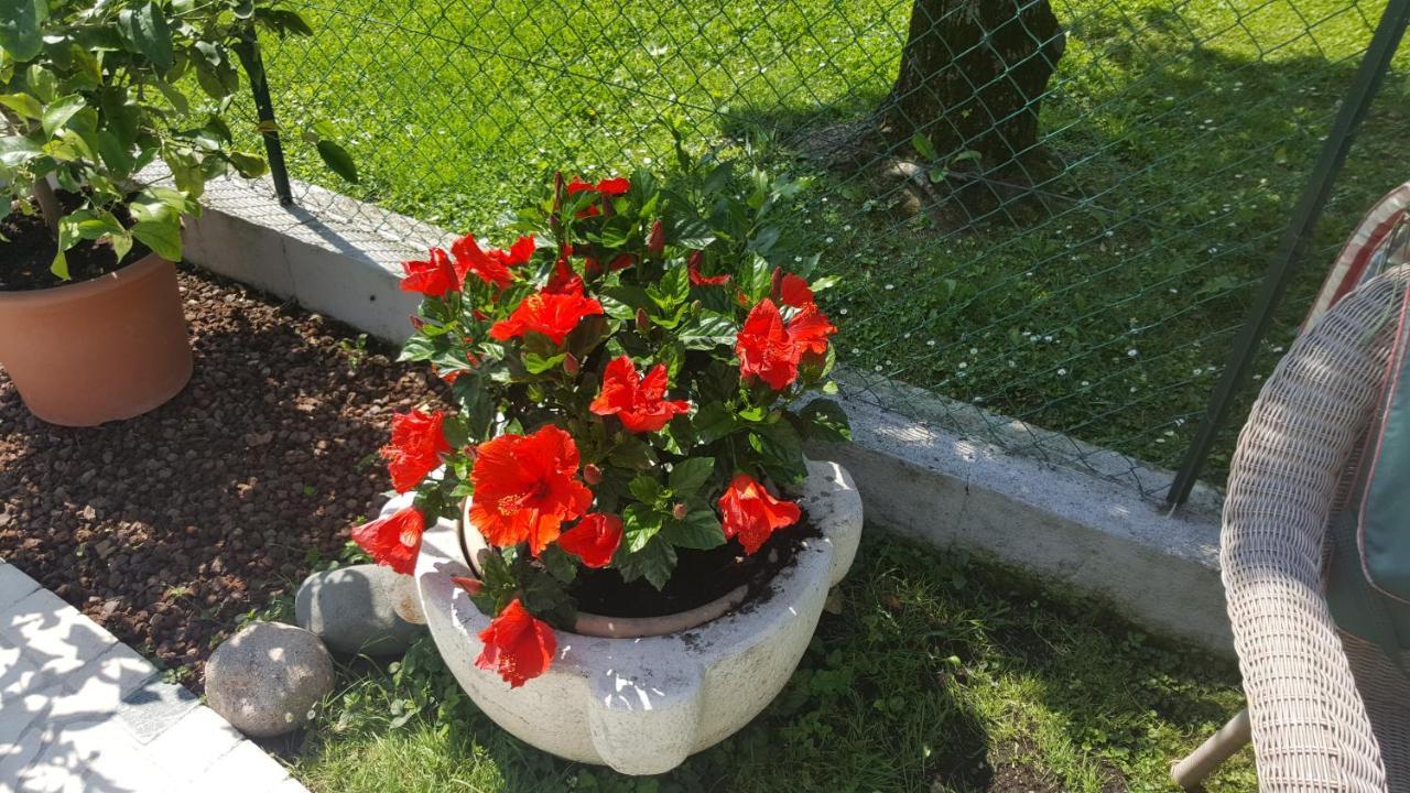 B&B Casa Gaia - Sirmione Exteriör bild